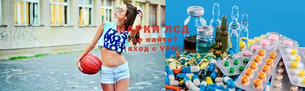 молекула духа Бородино