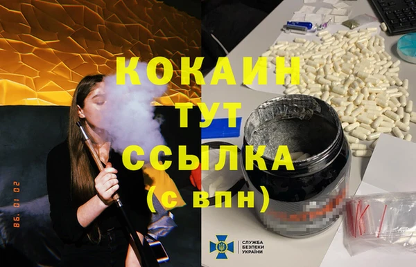 амф Верея