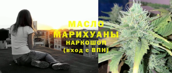 молекула духа Бородино
