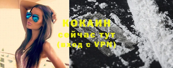 молекула духа Бородино
