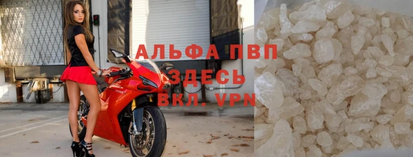 дживик Ельня