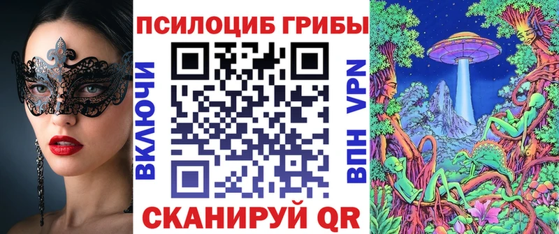 где найти наркотики Новый Оскол Псилоцибиновые грибы мухоморы
