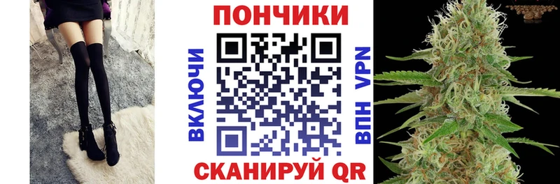 МАРИХУАНА семена  где найти   Новый Оскол 